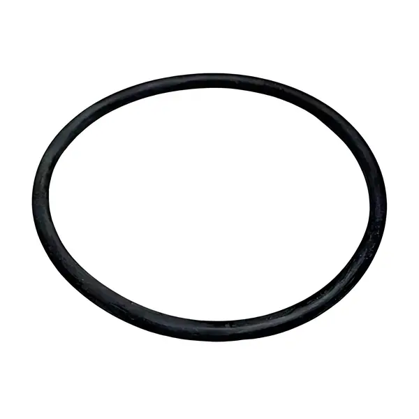 Anel Bomba Agua Viton para Iveco Daily 35S14 — 17285681