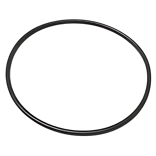 Anel Bomba Injetora para Ford Cargo 6BTAA 6CTAA — 2T0130228