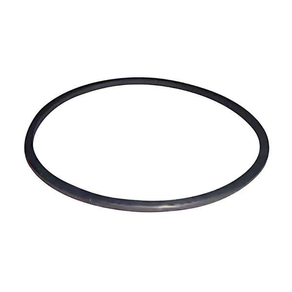 Anel Bomba Injetora para Ford VW 1722 24220 6CTAA