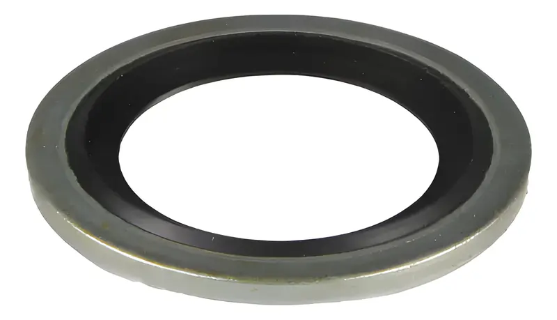 Anel Carter para Iveco Tector Motor NEF6 — 2830546