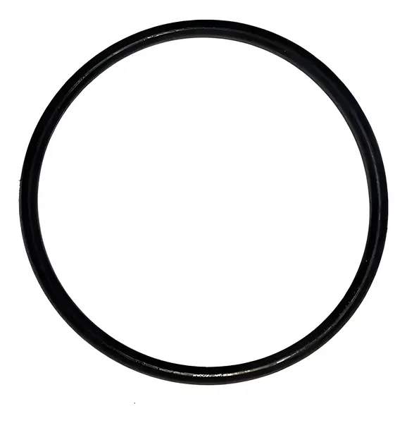 Anel Filtro Combustivel MB 1215C 1620 OM904LA — 259979348