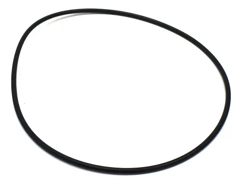 Anel Flange Traseira para Iveco e Volks — 2Z0311799
