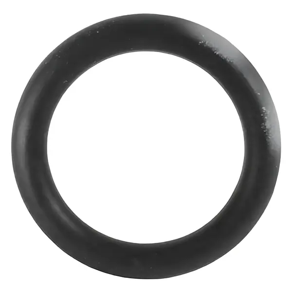 Anel Injetor Isf 3.8 Fora Estrada para Cummins — 3029820