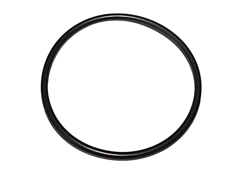 Anel O-ring Boia Tanque para VW 80L 100L 150L — 113919131A