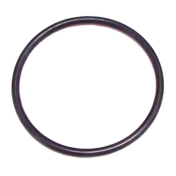 Anel O-ring Bomba para VW 19320E 17250E — 2TA145371
