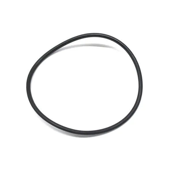 Anel Oring Bomba Agua MWM Maxxforce — 604931040753E