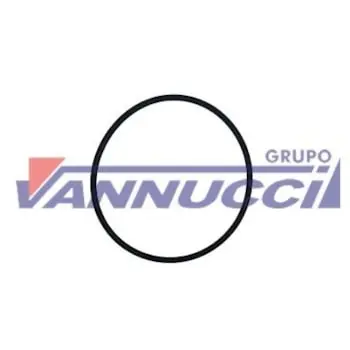 Anel Oring Filtro Oleo para Volvo FH4 FM4 B13R — 22243641
