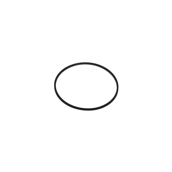 Anel Oring Maior Cabecote Filtro — 4980085