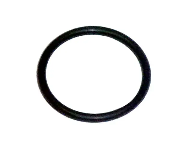 Anel Oring Mercedes L1113
