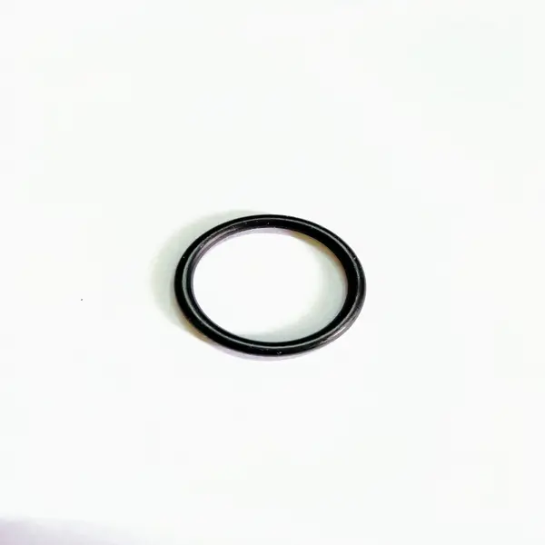 Anel Oring Motor MB Geral 25,2X3 — 8970805294