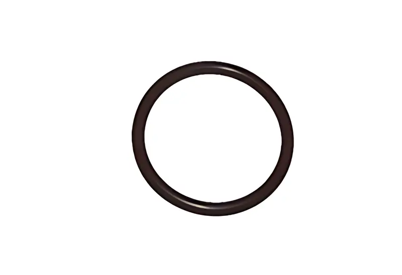 Anel Oring para Ford Cargo 2422 2622 2626 — TJG312105H