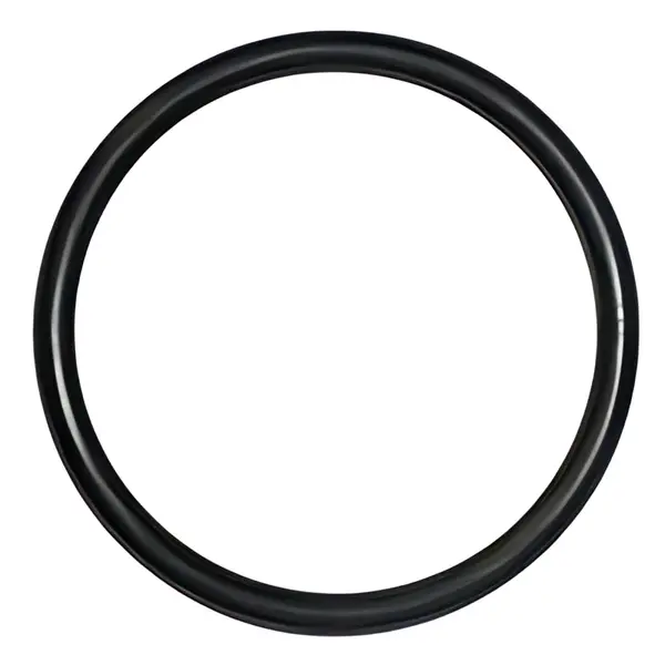 Anel Oring Reduzida para Iveco Tector Eurocargo — 503356271