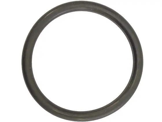 Anel Oring Scania — 804672