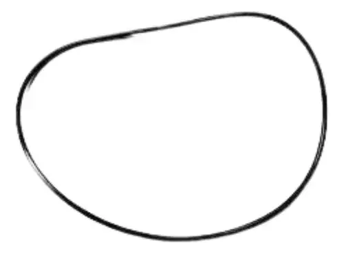 Anel Pinhao para Agrale para Iveco VW 9-150 — 2R0525491M
