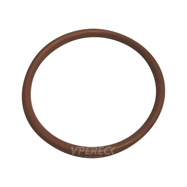 Anel Radiador Oleo para Iveco Stralis Cursor — 17289781
