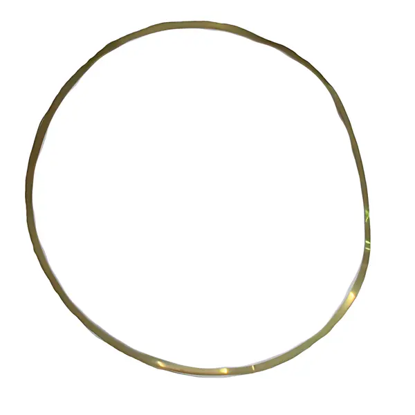 Anel Regulagem Camisa para Iveco Eurocargo — 500350504