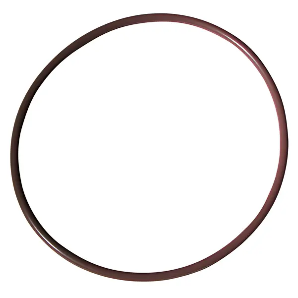 Anel Tampa Cilindro para Ford Cargo 2422 2622 — BG3X70006CA