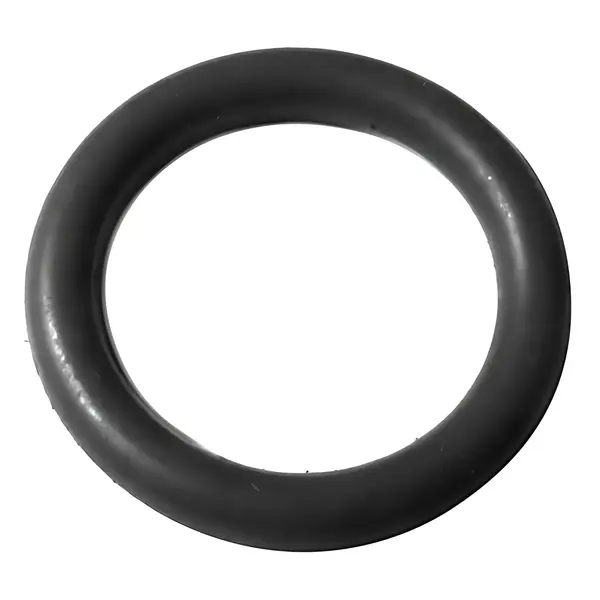 Anel Valvula Bloqueio MB 2423 Atego 1728 L1624 — BH3X70006HA