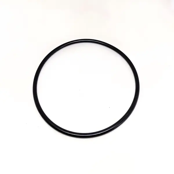 Anel Vedacao Axletech Eixo Traseiro — 500001035E