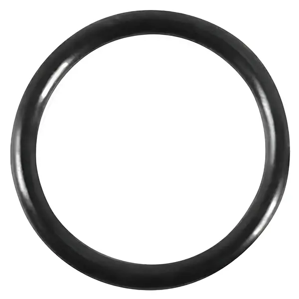 Anel Vedacao Bomba Injetora VW 24320 para Ford — 2T2130139B