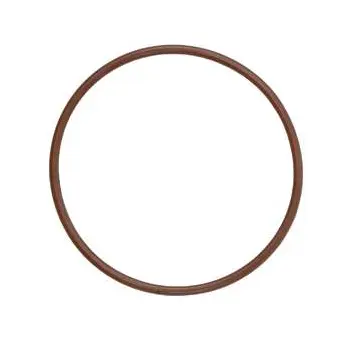Anel Vedacao Carcaca Retarder 100X4MM — 1430030