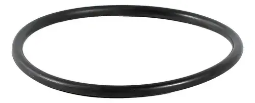 Anel Vedacao Filtro - Iveco Eurocargo — 4898876