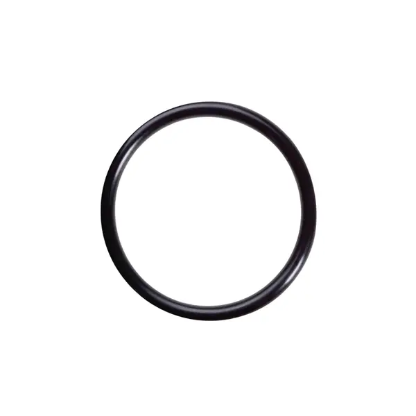 Anel Vedacao O-ring 53,5 X 5,33 Meritor — 5X1414