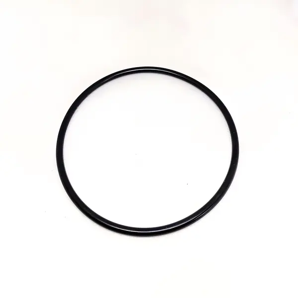 Anel Vedacao Oring Eixo Traseiro — 500001039E