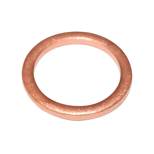 Anel Vedacao para Iveco Eurocargo Cavalino ZF — 2965974