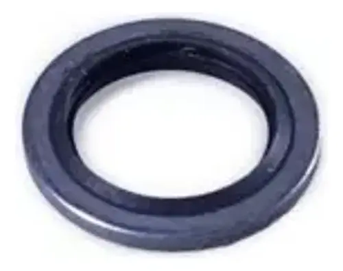 Anel Vedacao Tubo Respiro Motor — 4899926