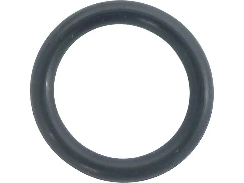 Anel Vedacao VW MWM X10 — 2RD121859