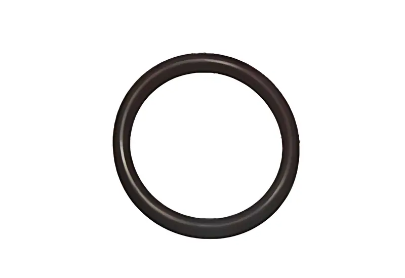 Anel Vedador para Ford Cargo 2422 2425 2622 — TJG312105G
