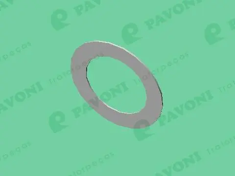 Arruela Encosto Traseira Axletech — 009756
