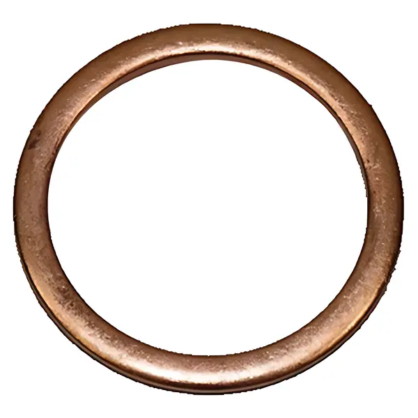 Arruela Vedacao para Ford 815 1622 VW 17210 24220 — TE3103119