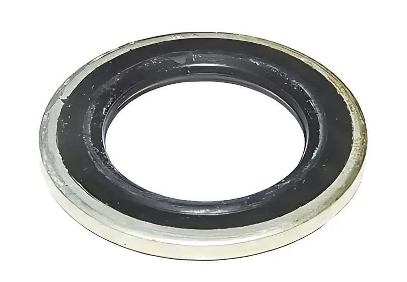 Arruela Vedacao para Ford Cargo 816 1119 — BG5X9C155AA