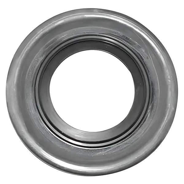 Arruela ZF Retencao Cambio — 0501334043