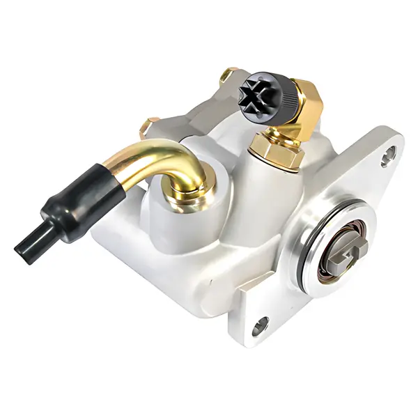 Bomba Direcao para Ford F100 F4000 MWM 229 — 7683955900