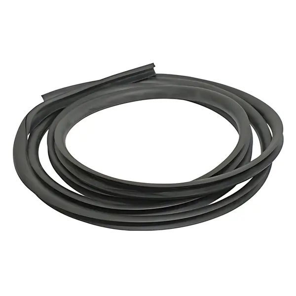 Borracha Vidro Frontal para Volvo VM — 20496137