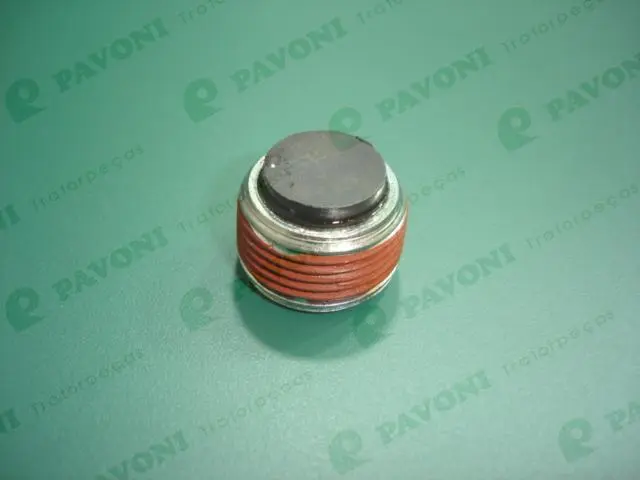 Bujao Orig para Caixa Cambio Eaton — TD1311877