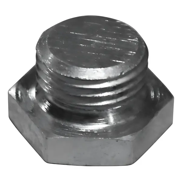 Bujao para Ford Cargo 1729 2429 — 0009973301