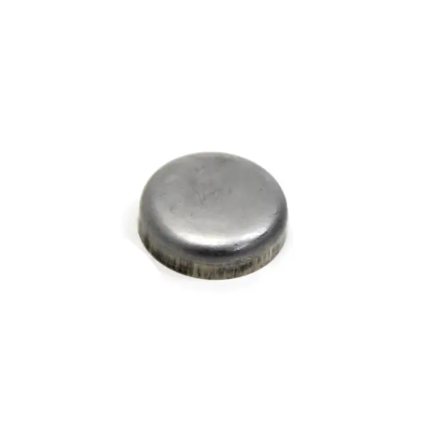 Bujao/selo 21MM Bloco Motor Cummins — 3004258