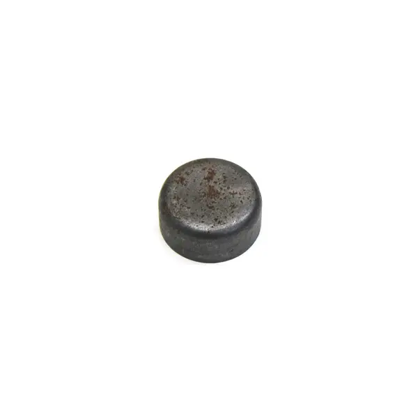 Bujao/selo 32MM Cambio ZF — 1290306084