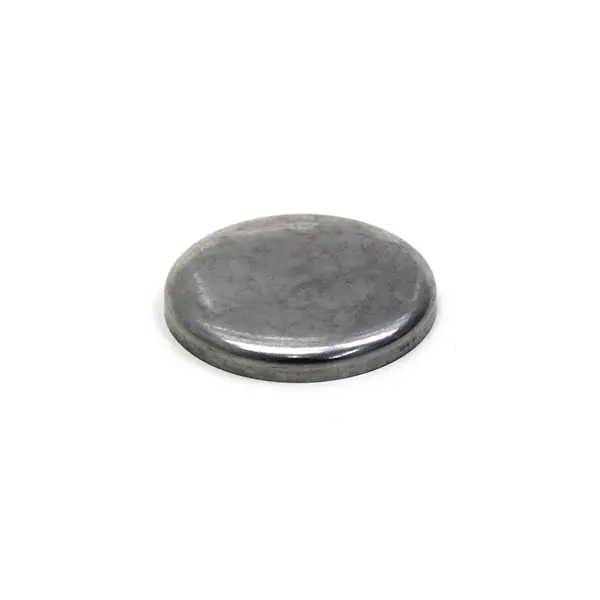 Bujao/selo 57,20MM Motor Cummins — 3922072