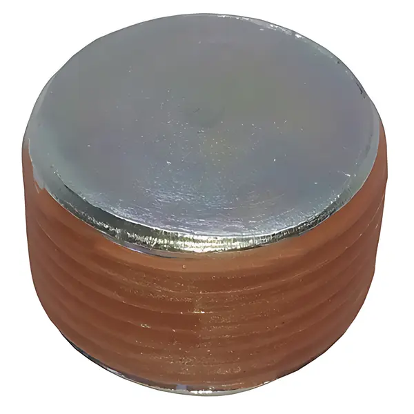 Bujao sem Ima para Ford F1000 F4000 F12000 — T06301127A