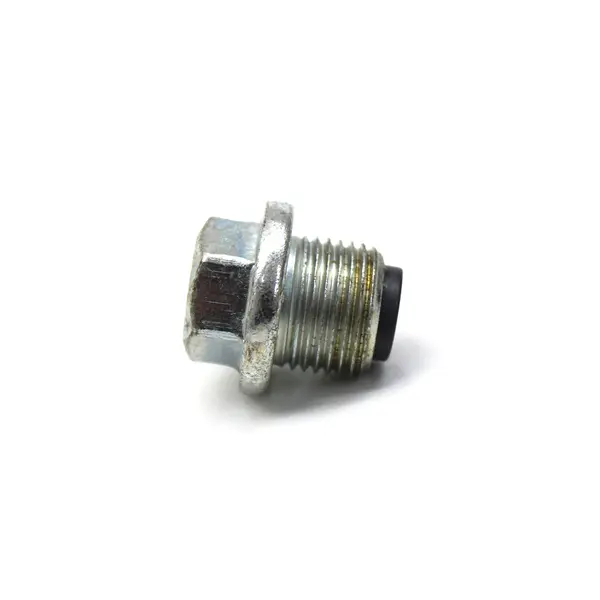 Bujao/tampao (18MM) M18X1,5 Carter — 3924147