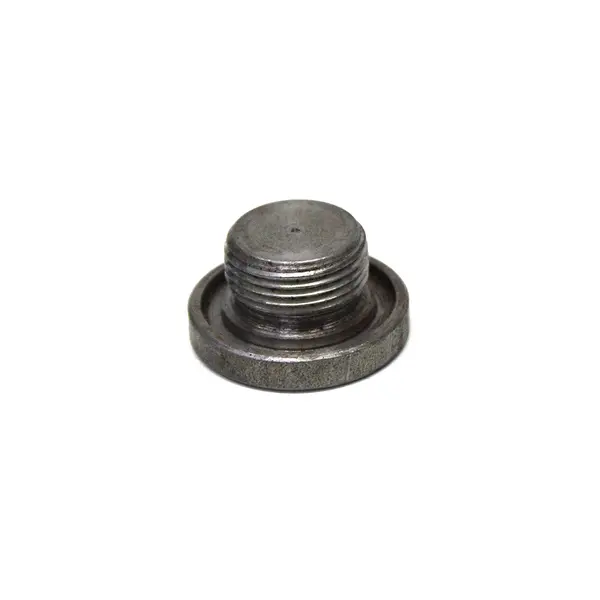 Bujao/tampao (22MM) M22X1,5 Carter Motor — 4894139.35