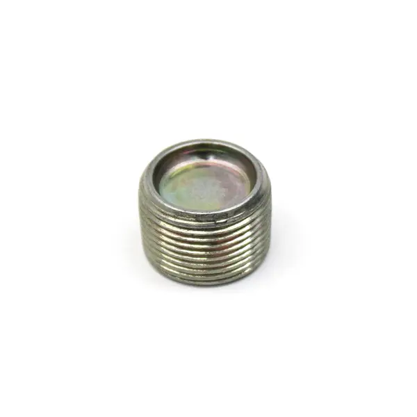 Bujao/tampao Allen Roscado (24MM) M24X1,5 — 1307301331