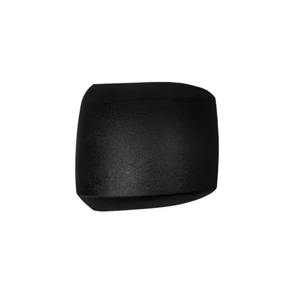 Capa Retrovisor Menor LE Stralis Tector Hi-way