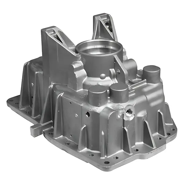 Carcaca Traseira FSO4505 para Ford 816 1119 — 6010004150002