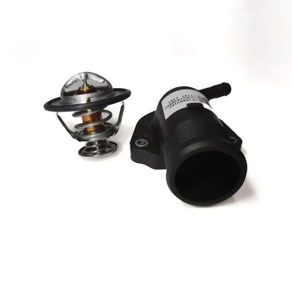 Conexão saída de agua e termostato
